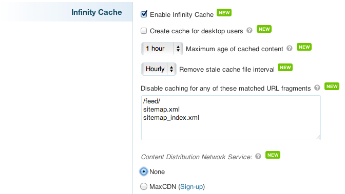 infinity cache wordpress cache options